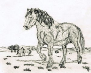 paisaje para dibujar con caballo
